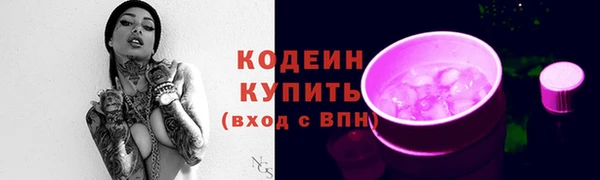 ПСИЛОЦИБИНОВЫЕ ГРИБЫ Арсеньев