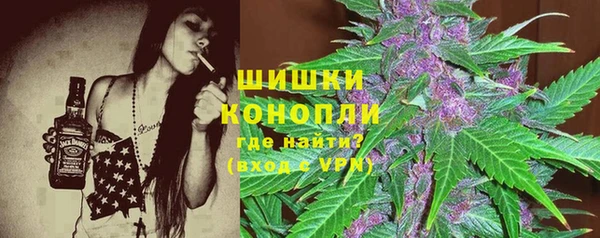 ПСИЛОЦИБИНОВЫЕ ГРИБЫ Арсеньев
