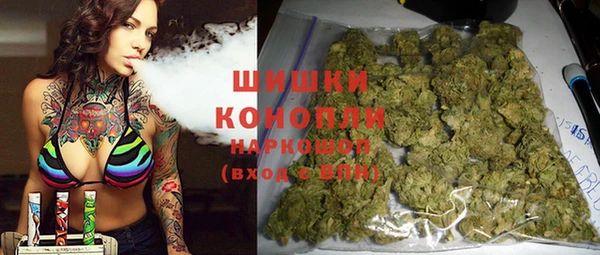 ПСИЛОЦИБИНОВЫЕ ГРИБЫ Арсеньев