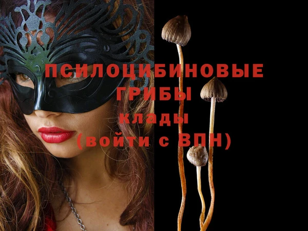 MDMA Premium VHQ Армянск
