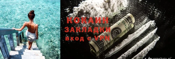 ПСИЛОЦИБИНОВЫЕ ГРИБЫ Арсеньев
