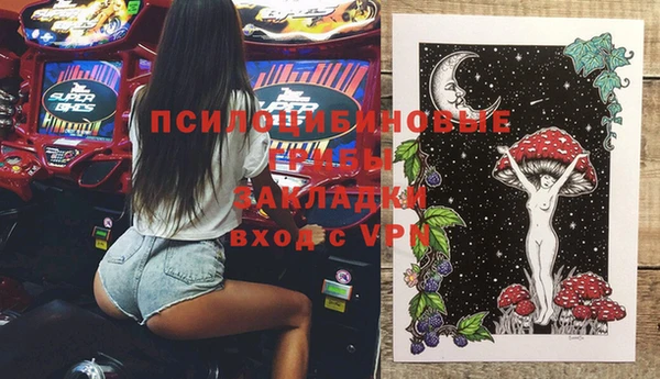 ПСИЛОЦИБИНОВЫЕ ГРИБЫ Арсеньев