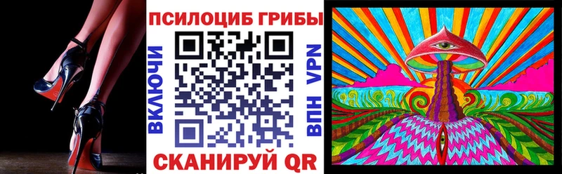 Псилоцибиновые грибы мухоморы как найти закладки сайты даркнета какой сайт Бийск